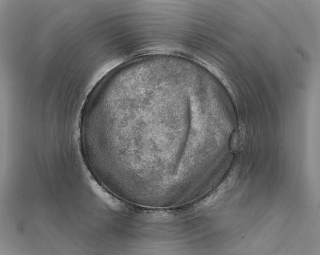 X0000112091042200908251123