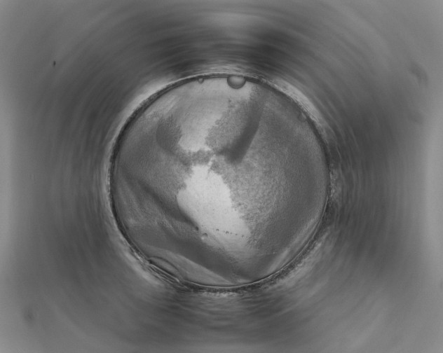 X0000112091043200908251123