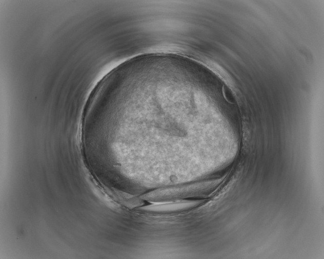 X0000112091044200908251123