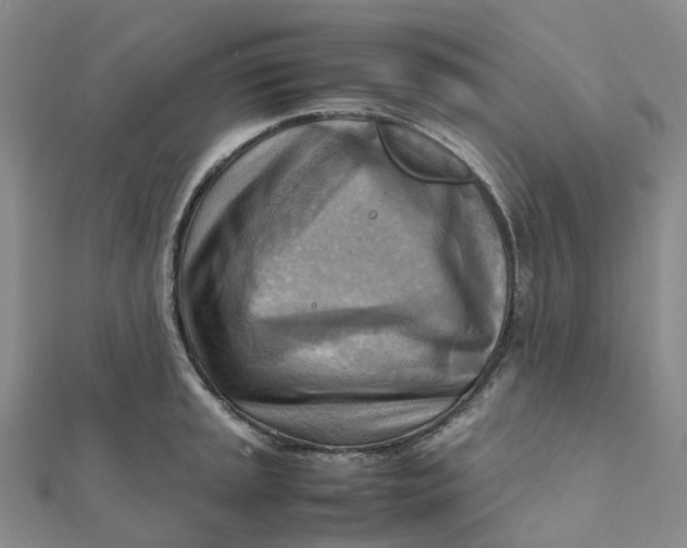 X0000112091045200908251123