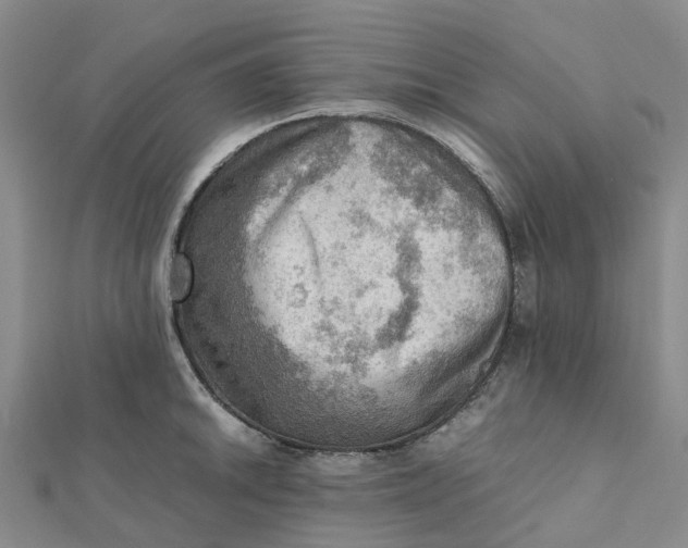 X0000112091046200908251123