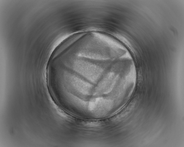 X0000112091047200908251123