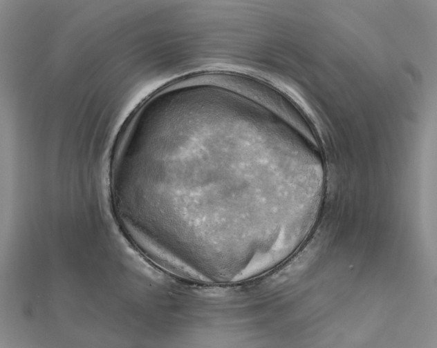 X0000112091048200908251123