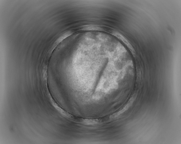 X0000112091049200908251123