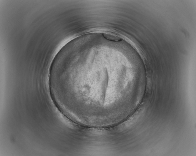 X0000112091050200908251123