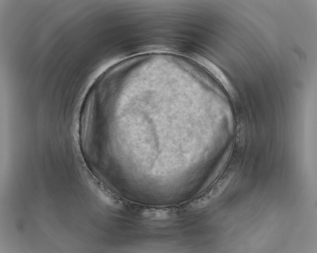 X0000112091051200908251123