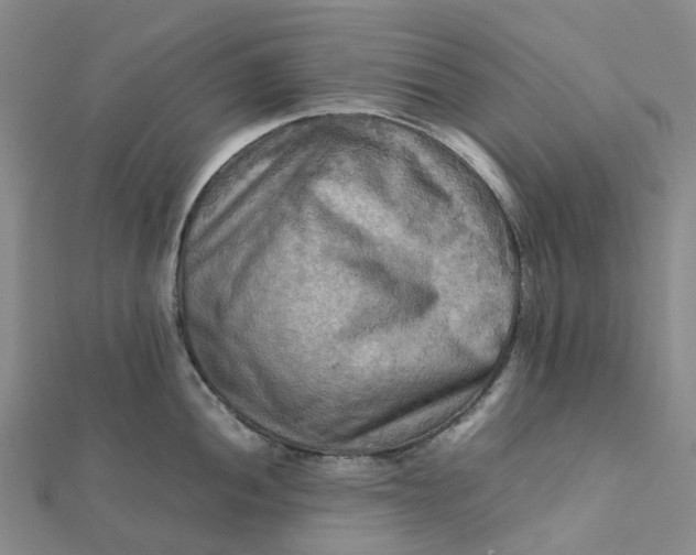 X0000112091052200908251123