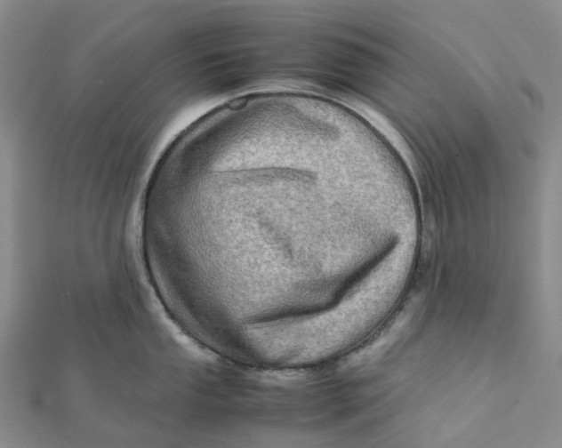 X0000112091053200908251123