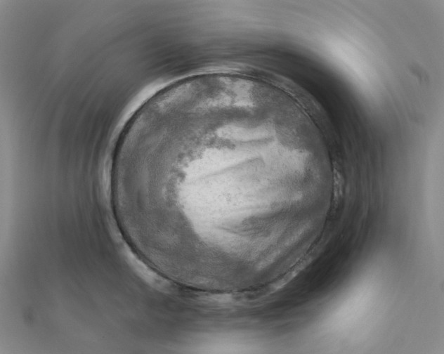 X0000112091054200908251123