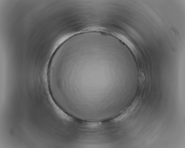 X0000112091055200908251123