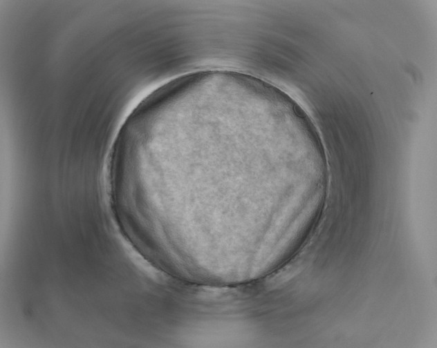 X0000112091056200908251123