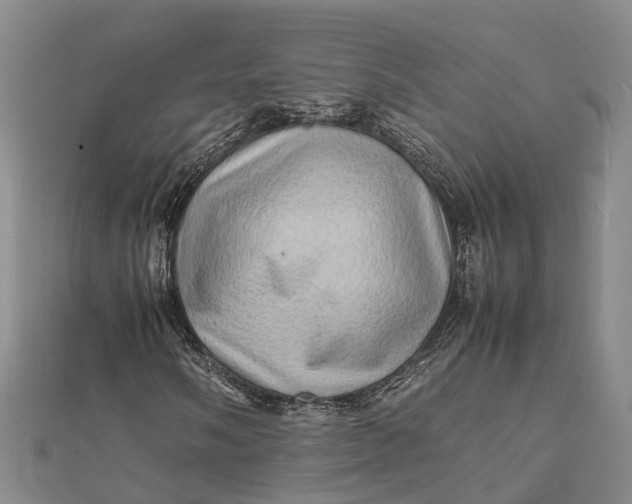 X0000112091058200908251123