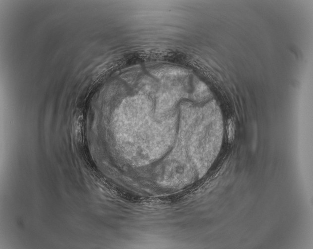 X0000112091059200908251123