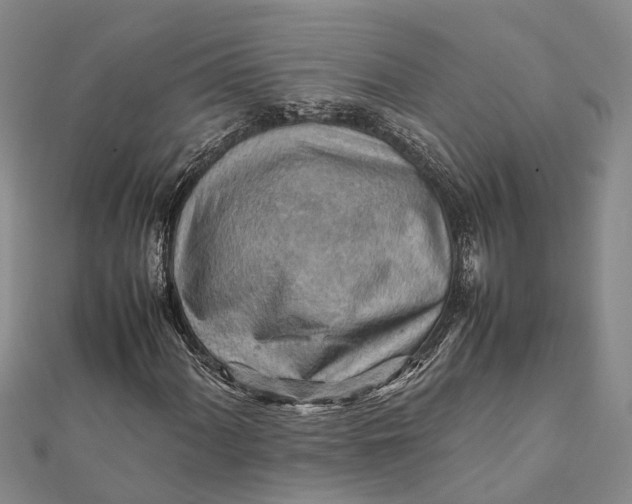 X0000112091060200908251123