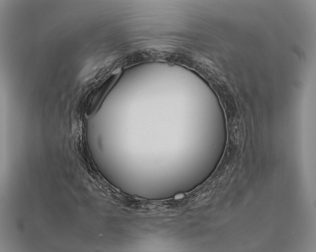 X0000112091061200908251123