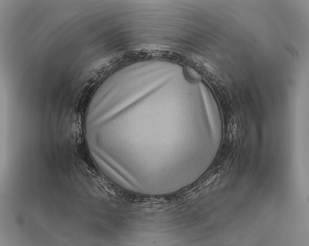 X0000112091062200908251123