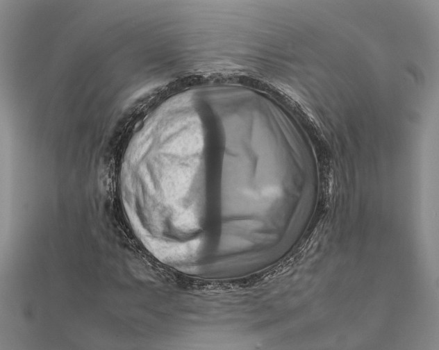 X0000112091063200908251123