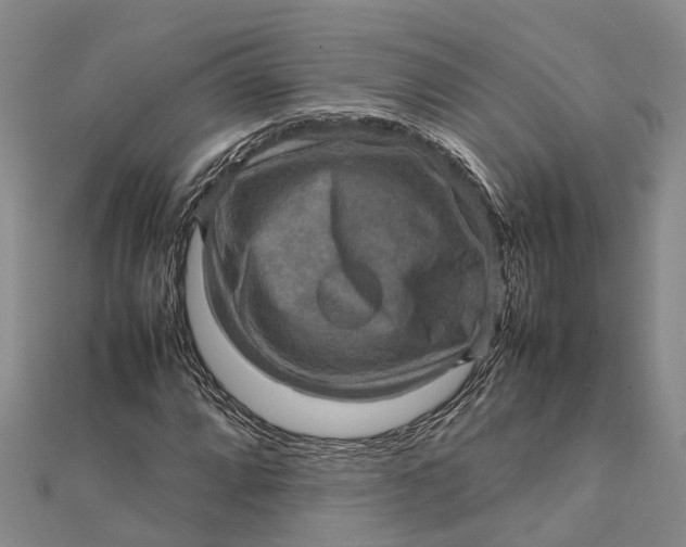 X0000112091064200908251123