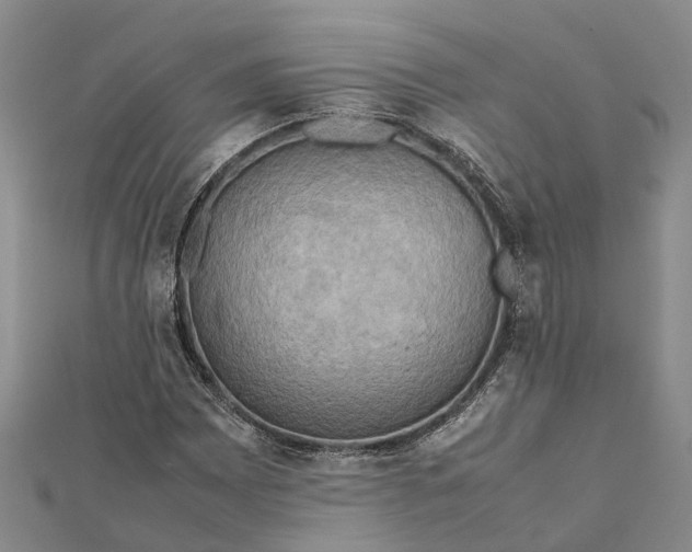 X0000112091065200908251123