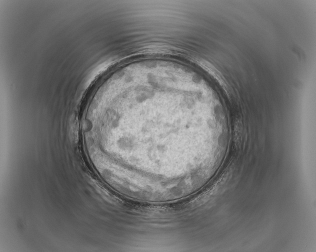 X0000112091067200908251123