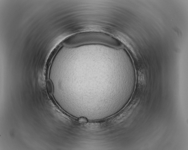 X0000112091068200908251123