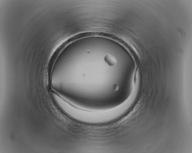 X0000112091069200908251123