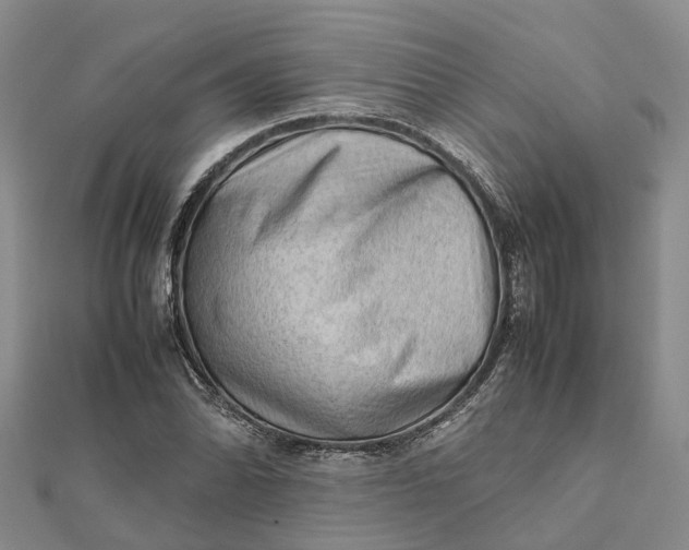 X0000112091070200908251123