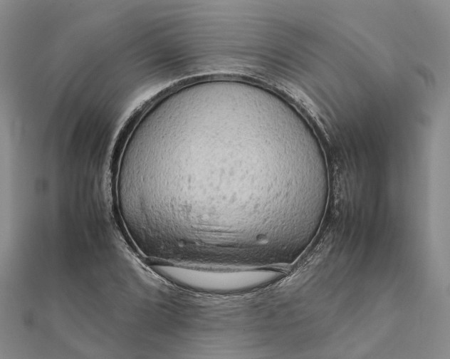 X0000112091072200908251123