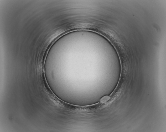 X0000112091073200908251123