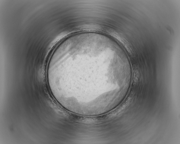 X0000112091074200908251123