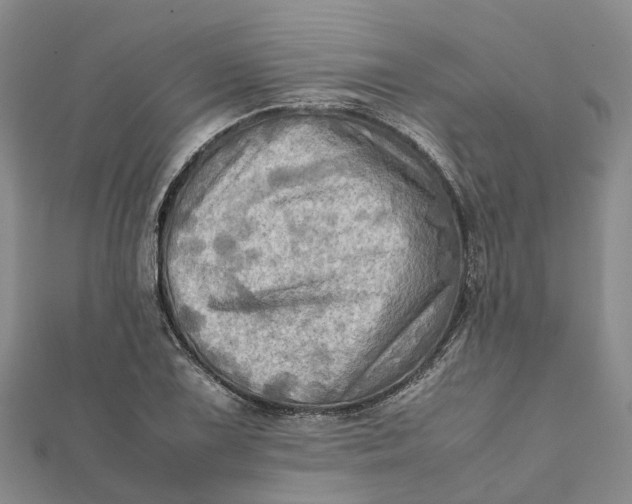 X0000112091075200908251123