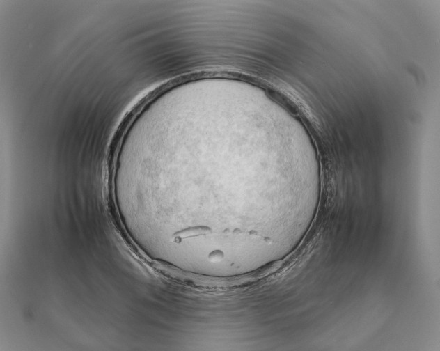 X0000112091076200908251123