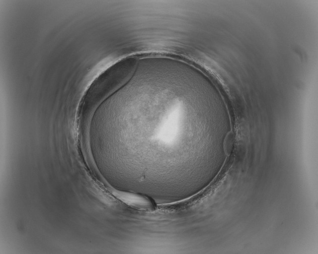 X0000112091077200908251123