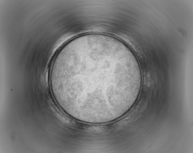 X0000112091078200908251123