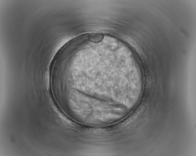 X0000112091079200908251123