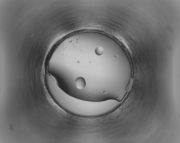 X0000112091080200908251123