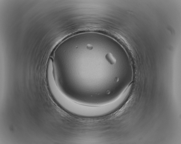 X0000112091081200908251123