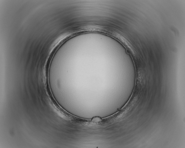 X0000112091082200908251123