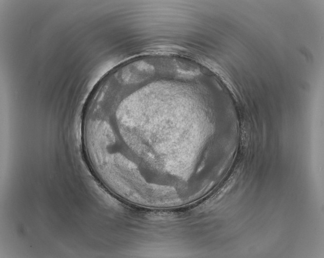 X0000112091083200908251123