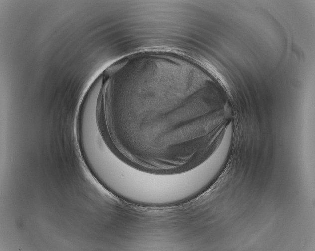 X0000112091084200908251123