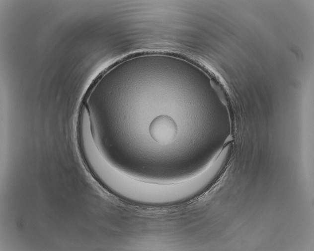 X0000112091085200908251122