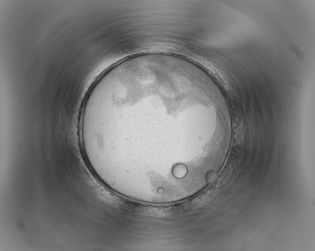 X0000112091086200908251122