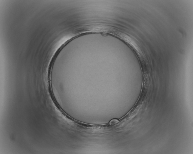 X0000112091087200908251122