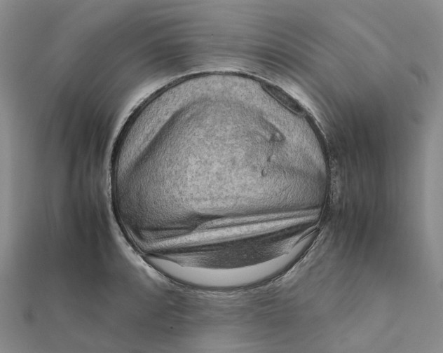 X0000112091088200908251122