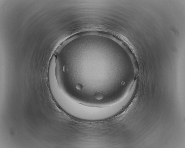 X0000112091089200908251122