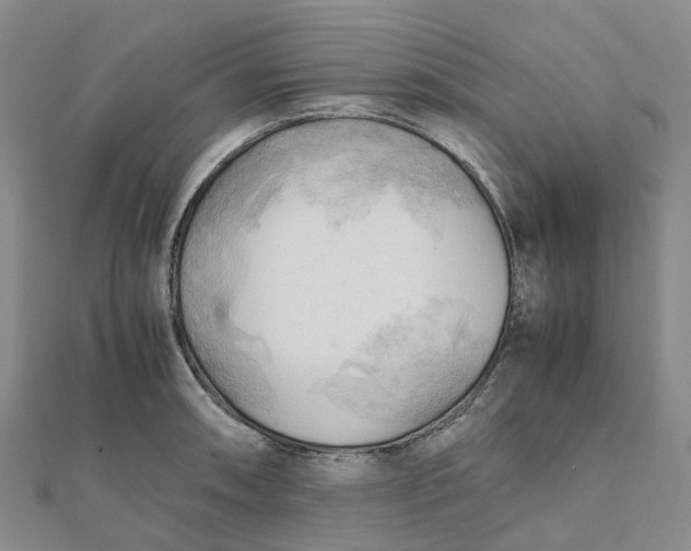 X0000112091090200908251122