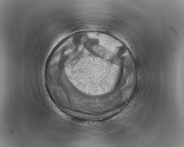 X0000112091091200908251122