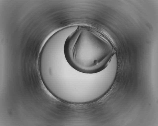 X0000112091092200908251122