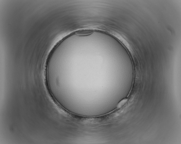 X0000112091093200908251122