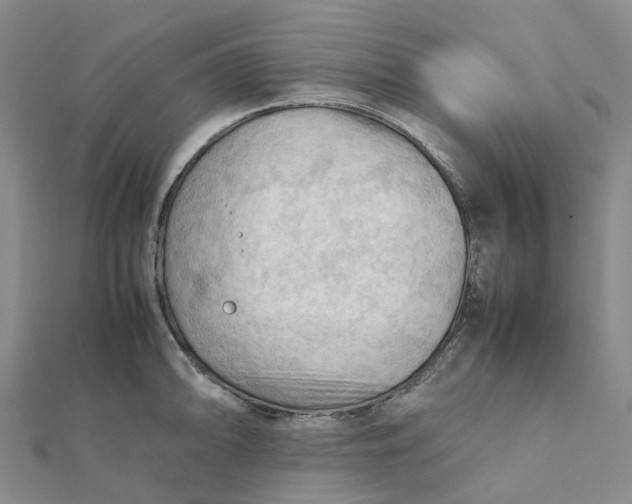 X0000112091094200908251122